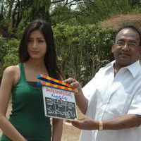 Rudrakshapalli Movie Opening | Picture 44074